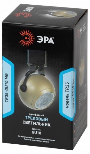 Светильник на штанге Эра  TR35-GU10 MG в Сысерти - sysert.ok-mebel.com | фото 4