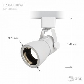 Светильник на штанге Эра  TR38-GU10 WH в Сысерти - sysert.ok-mebel.com | фото 6