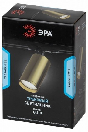 Светильник на штанге Эра  TR39-GU10 BS в Сысерти - sysert.ok-mebel.com | фото 4