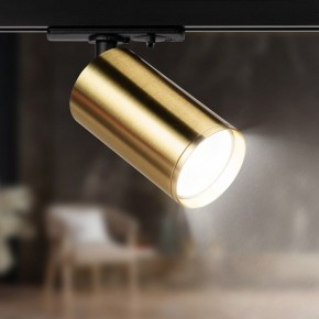 Светильник на штанге Эра  TR39-GU10 BS в Сысерти - sysert.ok-mebel.com | фото 5
