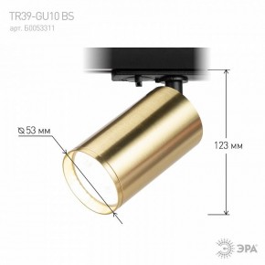Светильник на штанге Эра  TR39-GU10 BS в Сысерти - sysert.ok-mebel.com | фото 6