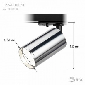 Светильник на штанге Эра  TR39-GU10 СН в Сысерти - sysert.ok-mebel.com | фото 7