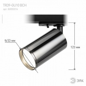 Светильник на штанге Эра  TR39-GU10 ВСН в Сысерти - sysert.ok-mebel.com | фото 7