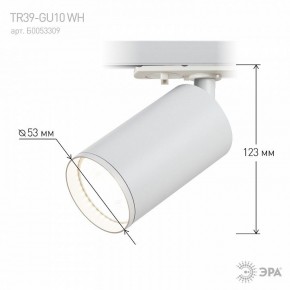Светильник на штанге Эра  TR39-GU10 WH в Сысерти - sysert.ok-mebel.com | фото 7