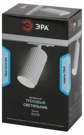 Светильник на штанге Эра  TR40-GU10 WH в Сысерти - sysert.ok-mebel.com | фото 7