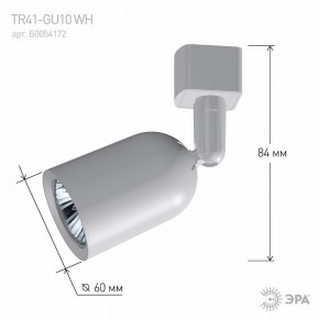 Светильник на штанге Эра  TR41-GU10 WH в Сысерти - sysert.ok-mebel.com | фото 9
