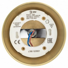 Светильник на штанге Эра  TR42-GX53 BS в Сысерти - sysert.ok-mebel.com | фото 5