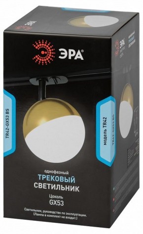 Светильник на штанге Эра  TR42-GX53 BS в Сысерти - sysert.ok-mebel.com | фото 6
