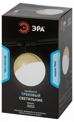 Светильник на штанге Эра  TR42-GX53 MG в Сысерти - sysert.ok-mebel.com | фото 6