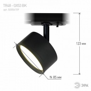 Светильник на штанге Эра  TR48 - GX53 BK в Сысерти - sysert.ok-mebel.com | фото 7