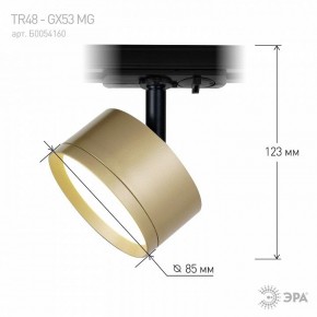 Светильник на штанге Эра  TR48 - GX53 MG в Сысерти - sysert.ok-mebel.com | фото 4