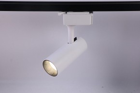 Светильник на штанге Эра  TR5-10 COB WH в Сысерти - sysert.ok-mebel.com | фото 2