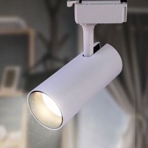 Светильник на штанге Эра  TR5-10 COB WH в Сысерти - sysert.ok-mebel.com | фото 3