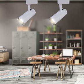 Светильник на штанге Эра  TR5-20 COB WH в Сысерти - sysert.ok-mebel.com | фото 4