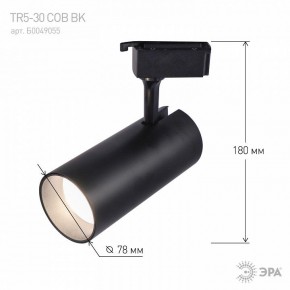Светильник на штанге Эра  TR5-30 COB BK в Сысерти - sysert.ok-mebel.com | фото 5