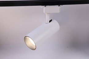 Светильник на штанге Эра  TR5-30 COB WH в Сысерти - sysert.ok-mebel.com | фото 2