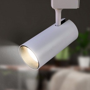 Светильник на штанге Эра  TR5-30 COB WH в Сысерти - sysert.ok-mebel.com | фото 4