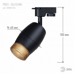 Светильник на штанге Эра  TR51 - GU10 BK в Сысерти - sysert.ok-mebel.com | фото 4