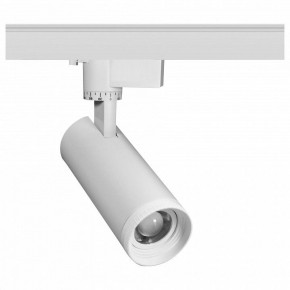 Светильник на штанге Эра  TR59 - 2030 WH в Сысерти - sysert.ok-mebel.com | фото