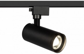 Светильник на штанге Эра  TR59 - 2040 BK в Сысерти - sysert.ok-mebel.com | фото
