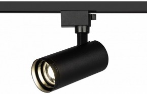 Светильник на штанге Эра  TR59 - 2040 BK в Сысерти - sysert.ok-mebel.com | фото 5