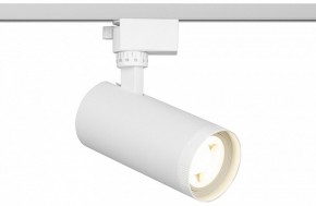 Светильник на штанге Эра  TR59 - 2040 WH в Сысерти - sysert.ok-mebel.com | фото