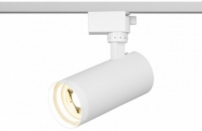 Светильник на штанге Эра  TR59 - 2040 WH в Сысерти - sysert.ok-mebel.com | фото 5