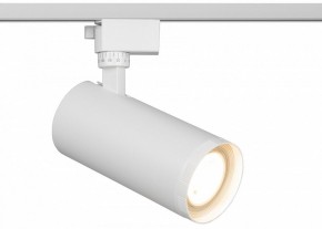 Светильник на штанге Эра  TR59 - 3030 WH в Сысерти - sysert.ok-mebel.com | фото