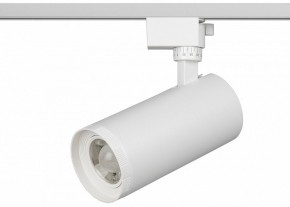 Светильник на штанге Эра  TR59 - 3030 WH в Сысерти - sysert.ok-mebel.com | фото 2