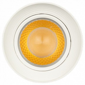 Светильник на штанге Эра  TR59 - 3030 WH в Сысерти - sysert.ok-mebel.com | фото 3