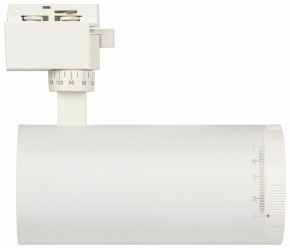 Светильник на штанге Эра  TR59 - 3030 WH в Сысерти - sysert.ok-mebel.com | фото 4
