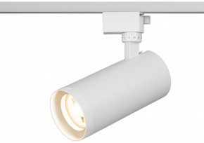 Светильник на штанге Эра  TR59 - 3030 WH в Сысерти - sysert.ok-mebel.com | фото 5