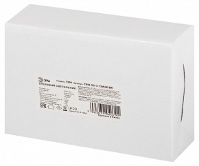 Светильник на штанге Эра  TRM-S5-3-12W4K-BK в Сысерти - sysert.ok-mebel.com | фото 8