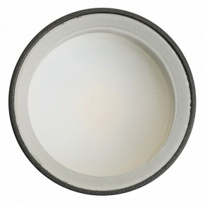 Светильник на штанге Feron ML1001 51371 в Сысерти - sysert.ok-mebel.com | фото 4