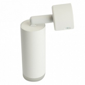 Светильник на штанге Feron ML1021 51390 в Сысерти - sysert.ok-mebel.com | фото 3
