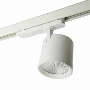 Светильник на штанге Feron TR Reflex 52058 в Сысерти - sysert.ok-mebel.com | фото 4