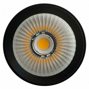 Светильник на штанге Feron TR Reflex 52059 в Сысерти - sysert.ok-mebel.com | фото 12