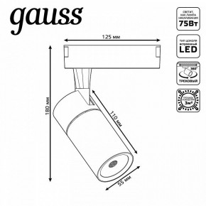 Светильник на штанге Gauss Track Light TR060 в Сысерти - sysert.ok-mebel.com | фото 5