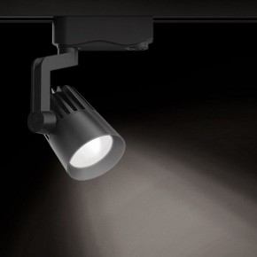 Светильник на штанге Gauss Track Light TR061 в Сысерти - sysert.ok-mebel.com | фото 2