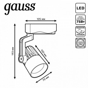 Светильник на штанге Gauss Track Light TR061 в Сысерти - sysert.ok-mebel.com | фото 6
