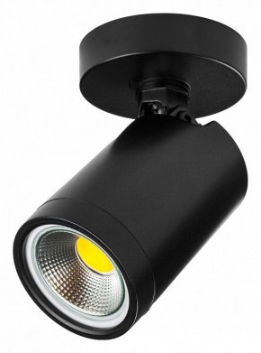 Светильник на штанге Lightstar Rullo 213407 в Сысерти - sysert.ok-mebel.com | фото