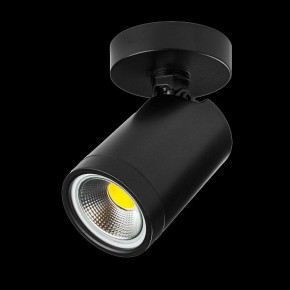 Светильник на штанге Lightstar Rullo 213407 в Сысерти - sysert.ok-mebel.com | фото 2