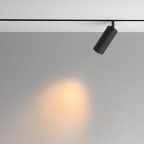 Светильник на штанге Maytoni Artisan TR097-2-12W2.7K-M-BB в Сысерти - sysert.ok-mebel.com | фото 4
