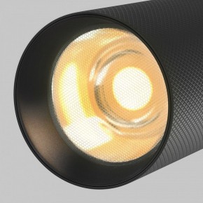 Светильник на штанге Maytoni Artisan TR097-2-12W2.7K-M-BB в Сысерти - sysert.ok-mebel.com | фото 9