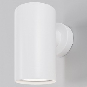 Светильник на штанге Maytoni Clyde O493WL-01W в Сысерти - sysert.ok-mebel.com | фото