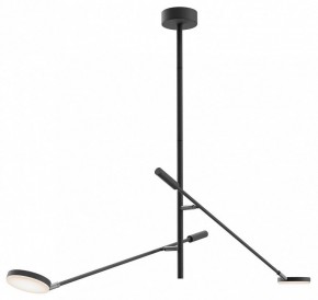 Светильник на штанге Maytoni Fad MOD070CL-L15B3K1 в Сысерти - sysert.ok-mebel.com | фото