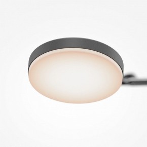 Светильник на штанге Maytoni Fad MOD070CL-L15B3K1 в Сысерти - sysert.ok-mebel.com | фото 7