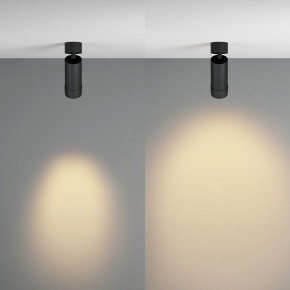 Светильник на штанге Maytoni Focus Zoom C055CL-L12W2.7K-Z-B в Сысерти - sysert.ok-mebel.com | фото 3