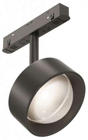 Светильник на штанге Maytoni Lens TR217-2-15W4K-B в Сысерти - sysert.ok-mebel.com | фото