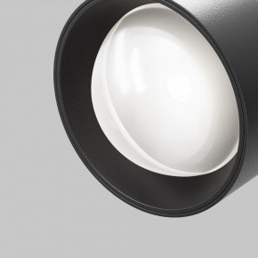 Светильник на штанге Maytoni Lens TR217-2-15W4K-B в Сысерти - sysert.ok-mebel.com | фото 10